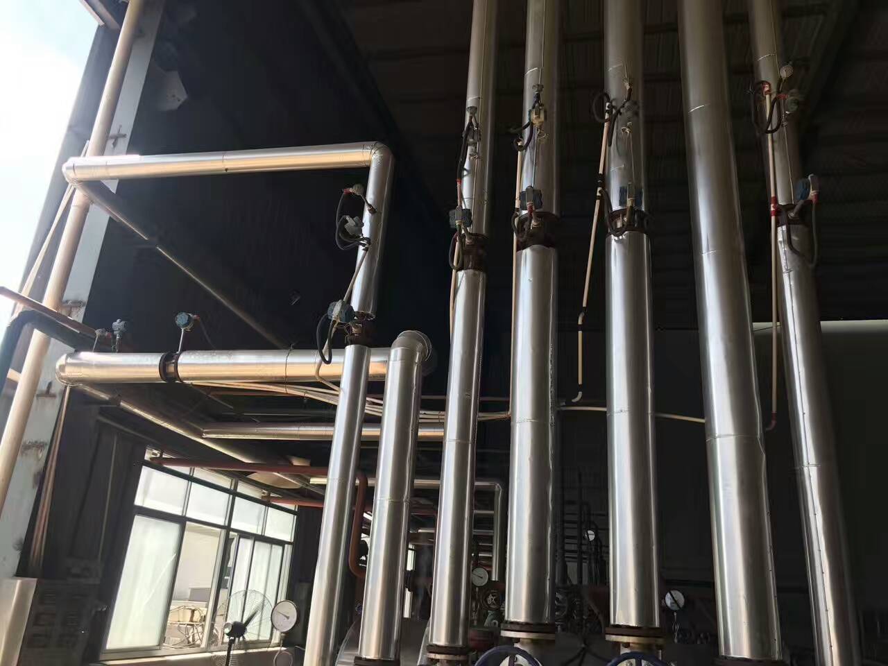 蒸汽香蕉视频成人版是什麽